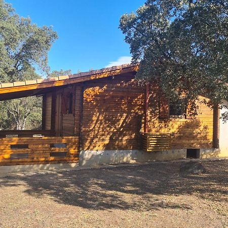 Chalet Climatise Porticcio Corse Fontanaccio Luaran gambar